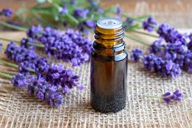 Jan 19, 2015 · la lavanda puede quedar definida como arbustos o matorrales de un crecimiento globoso que contiene un follaje gris verdoso y que en el centro floral cuenta con unas espigas de flores azuladas que la hacen una planta de espectacular presencia allí donde se coloque. Aceite Esencial De Lavanda Alquimia Rosa