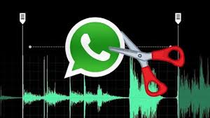 É possível acelerar em até 2x e também selecionar o volume do áudio na própria extensão. Truco Whatsapp Conoce Como Acelerar Los Audios Infofueguina