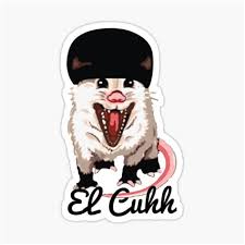 Check spelling or type a new query. El Tacuache Cuh Shefalitayal
