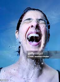 3,212 Jonathan Kitchen Stock Photos, High-Res Pictures, and Images