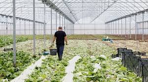 Actividades agrarais en andalucía • supone sobre el 9% de la población. La Consejeria De Agricultura Pesca Y Desarrollo Sostenible Andaluza Aumenta Su Presupuesto Un 14 3