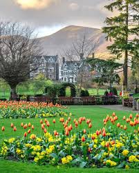 Cold & snowy Glencoe 🏴󠁧󠁢󠁳󠁣󠁴󠁿💙✨ Beautiful photo by Derek Grist