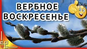Скачивайте бесплатно красивые открытки с надписями про вербное воскресенье. Verbnoe Voskresene Krasivoe Pozdravlenie S Verbnym Voskresenem Video Otkrytka Youtube
