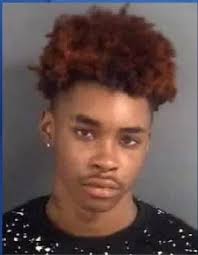 Gray's Creek High School student charged with making false threat against  school