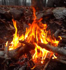 Wasping Through The Countryside Nature Photography Trees Fire Photography Outdoor Fire