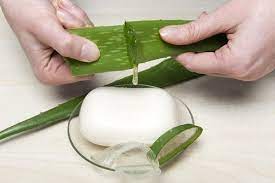 Grundsätzlich brauchst du zum aloe vera gel selber machen einen gelbildner und fertigen aloe vera saft (heißt manchmal auch gel, ist aber flüssig). Feuchtigkeitsspendende Aloe Vera Seife Selber Machen