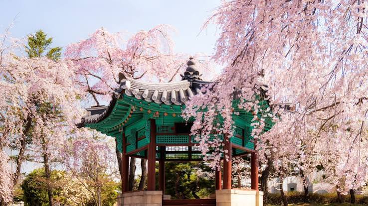 A local's guide to Seoul, South Korea | Condé Nast Traveller India