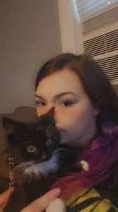 Lost black kitten in Lebanon