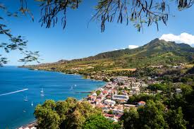 Bugs (like mosquitoes, ticks, and fleas) can spread a number of diseases in martinique. Visit Martinique Visitmartinique Twitter