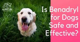 Benadryl tablets are available in 25mg and 50mg strength. Benadryl For Dogs Treating Your Dog S Allergies Ultimate Dog
