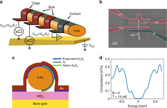 Concomitant opening of a bulk-gap with an emerging possible Majorana zero mode | Nature Communications