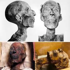 Archaeology - The Jericho Skull: A Fascinating and ...