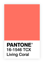 Color Palette The Color Scheme For Artists Adobe Color