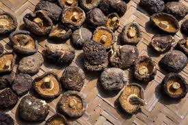 Así es como nos disponemos a facilitarle esta sencilla receta por de más tradicional para aprovechar esta. Destacada Shiitake Food Wine En Espanol