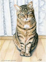 Pencil and paper are very simple things, but creating art with pencil illustrations is anything but simple and when they are this realistic it becomes a technical achievement besides being an artistic endeavor. 25 Beautiful And Realistic Animal Drawings Around The World