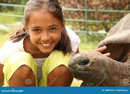 293 St Helena Island Stock Photos