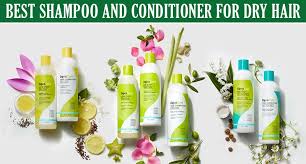 The best drugstore shampoo and conditioner duos. Top 10 Best Shampoo And Conditioner For Dry Hair 2019 Lewigs