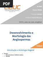 Image result for Eriocaulon angustibracteatum