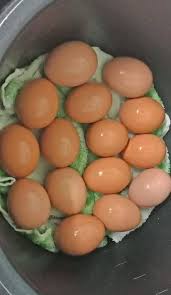 Look through examples of telur rebus translation in sentences, listen to pronunciation and learn grammar. Telur Rebus Noxxa Resepi Periuk Noxxa Steamer Noxxa Facebook