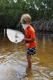 Annual Report 2019-2020