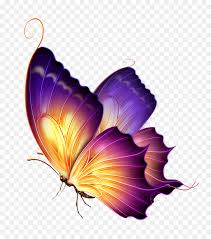 Flower Purple Png Download 907 1024 Free Transparent Butterfly Png Download Beautiful Butterflies Art Butterfly Art Painting Butterfly Clip Art