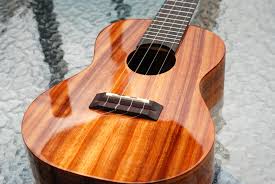 Check spelling or type a new query. Got A Ukulele Ukulele Reviews And Beginners Tips 06 01 2012 07 01 2012
