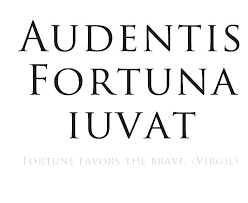 Fortune Favours The Bold Fortune Favors The Bold Quote