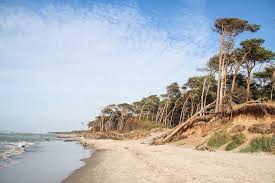 Urlaubsfotos Von Der Ostsee
