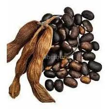 Image result for Mucuna pruriens