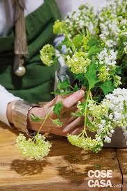 We did not find results for: Fai Da Te Con I Fiori Di Primavera Cose Di Casa