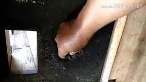 Mesin pencacah rumput mini dari bekas alat mesin serut kayu. Mesin Pencacah Rumput Kerangka Kayu Dari Dinamo Bekas Sanyo Youtube