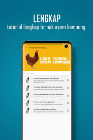 Ada tiga metode budidaya ayam yang sering dilakukan oleh masyarakat Cara Ternak Ayam Kampung Unggul Kub Terbaik Pour Android Telechargez L Apk
