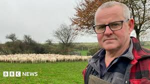 I've lost 4,500 sheep to thieves