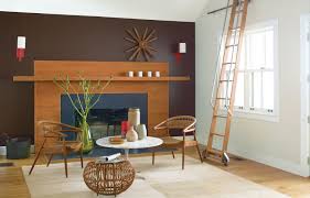 An Almost Leathery Looking Saddle Brown Accent Wall Creates An Attractive Frame For This Contemporary Hearth Living Room Color Living Room Paint Room Colors