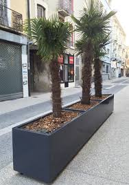 Bacs A Fleurs Demesures Dans ton bac à fleurs! bacs a fleurs demesures