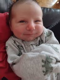 Photo gallery: Greater Sudbury's new arrivals