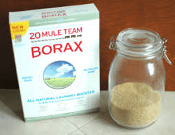 If you left something sweet in the pantry, sooner or later, you will notice ants crawling all over the sweet goody. Borax Ant Killer How To Kill Ants Fast Using Borax Pest Wiki