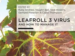 Image result for Grapevine leafroll virus