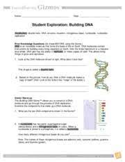 Gizmo student exploration building dna answer key / calorie, calorimeter, joule, specific heat capacity prior knowledge questions (do these before using the gizmo.) the latin word calor means heat, and meter comes from the greek word meaning to measure.. Buildingdnase Name Date Student Exploration Building Dna Vocabulary Double Helix Dna Enzyme Lagging Strand Leading Strand Mutation Nitrogenous Base Course Hero