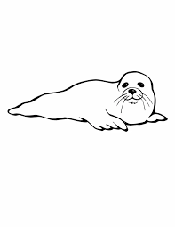 A cute seal with ornaments image for relaxing activity. Printable Seal Coloring Pages Free Coloring Sheets In 2021 Zoo Animal Coloring Pages Animal Coloring Pages Cartoon Coloring Pages