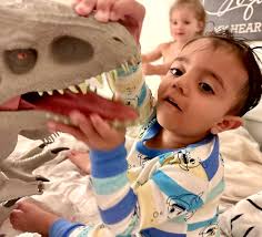 Larry Pollack Obituary (1947