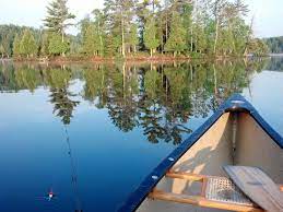 Life Is Good Forest Scenery Life Is Good Life Is An Adventure