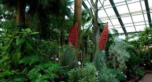 Tickets ab 37.20 € online oder telefonisch auf berlin.de bestellen. Gewachshauser Botanischer Garten Kiel