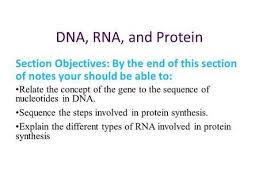 Pin On Dna