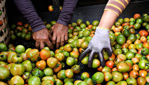 Anda mungkin sering melihat iklan di televisi yang mempromosikan minuman elektrolit. Catat Ya Jaga Imun Tubuh Jadi Salah Satu Cara Cegah Corona 3 Jus Ini Bisa Bantu