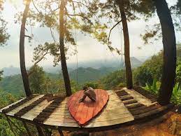 Karena masih tergolong baru, tempat wisata ini masih butuh pengembangan lagi untuk ditambah fasilitas. Promo 80 Off Villa Puncak Pinus Indonesia Hotel Promo Florence