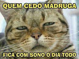Bom Dia Engracado Frases Para Whats Confira as melhores imagens de bom dia para enviar e escolha a sua! bom dia engracado frases para whats