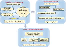 molecular targets of chinese herbs a clinical study of