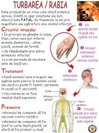 Acestea vor fi injectate in brat in urmatoarele 2 pana la 4 saptamani. Dr Fechete Sandu Marian Berichten Facebook