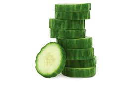 Image result for Cucumis engleri